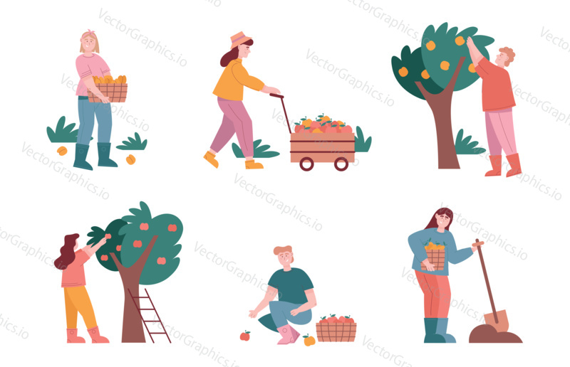 Man and woman characters harvest fruits in farm graden. Vector illustration set of farmer people work in apple garden and picking fruits from tree. Harvesting season, agriculture, farm.