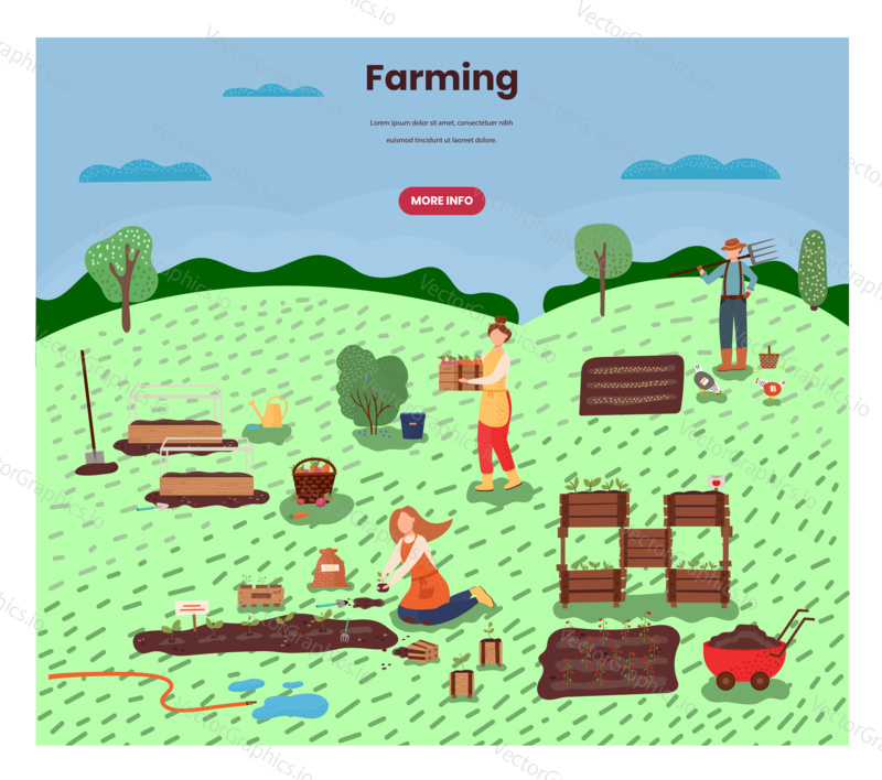 People work on a farm planting vegetables. Farmer, agriculture field, harvest crop. Concept illustration. Vector web site design template. Landing page website illustration