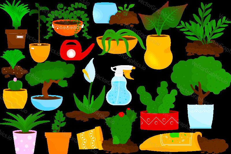 Vector set of potted house plants. Flowers and green home plants in pot. Objects for interior design. Water spray, soil, aloe, cactus.