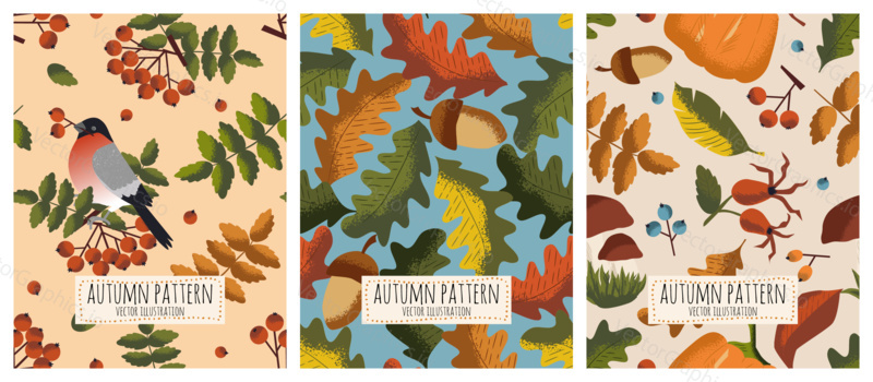 Vector set of autumn seamless patterns. Fall season illustration. Pattern with acorns, bullfinch bird and autumn oak leaves. Wallpaper, gift paper, textile decoration, autumn greeting cards.