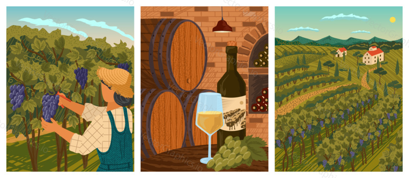 Vineyard landscape and winery field with villa farm house. Hand draw vector illustration poster. Wine wooden barrels in winery cellar. White wine bottle and vine. Man cut vine from grape tree.