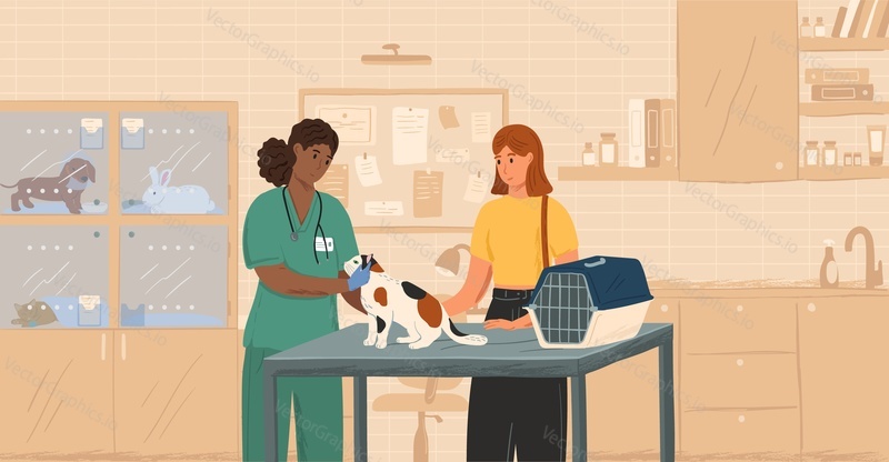 Black female veterinarian examining cat concept vector illustration. Vet doctor curing pets. Customer with cat visit veterinary clinic.