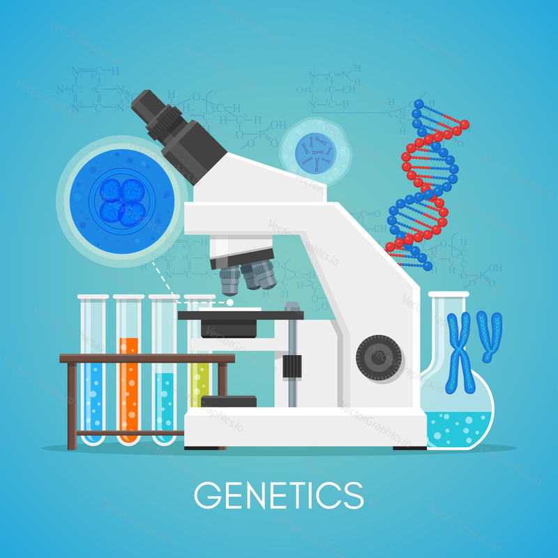 Genetics science education concept vector poster in flat style design. Biology school laboratory equipment.