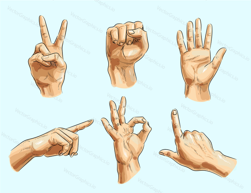 Vector male hand gesture icon set. Victory or peace sign, clenched fist, pointing finger, okay and other hand signs.