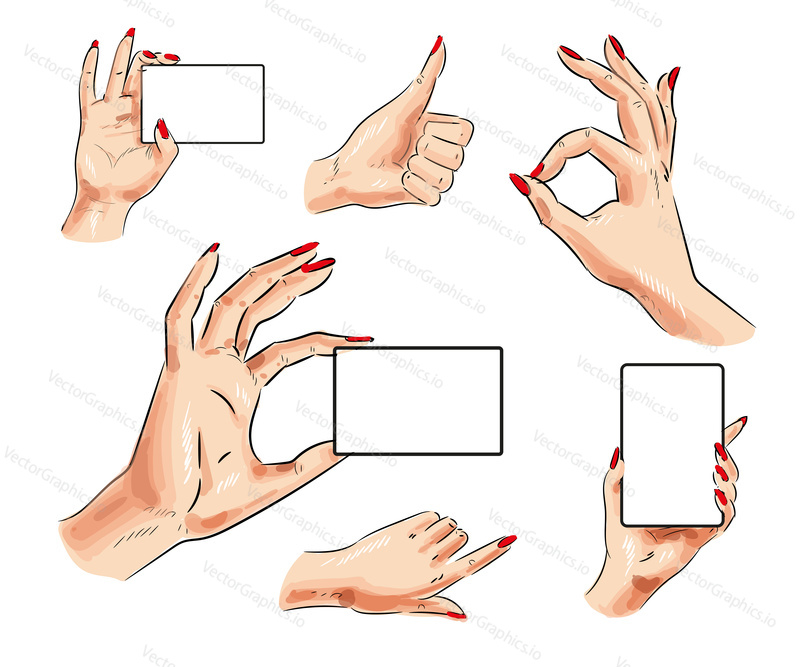 Vector human hand icon set. Female hand with card and thumb up, pointing finger, okay hand signs isolated on white background.