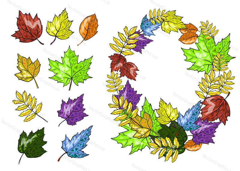 Autumn leaves set vector hand drawn illustration. Color leaves and foliage frame isolated on white background.