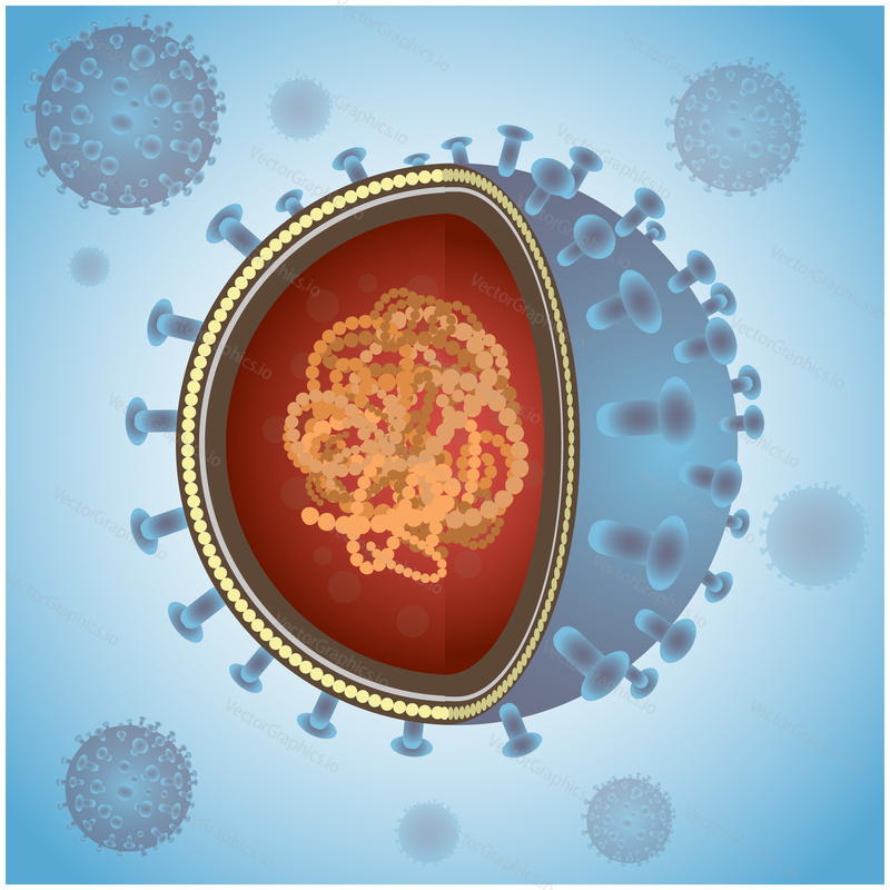 Blue virus cells or bacteria on background. Corona virus vector illustration