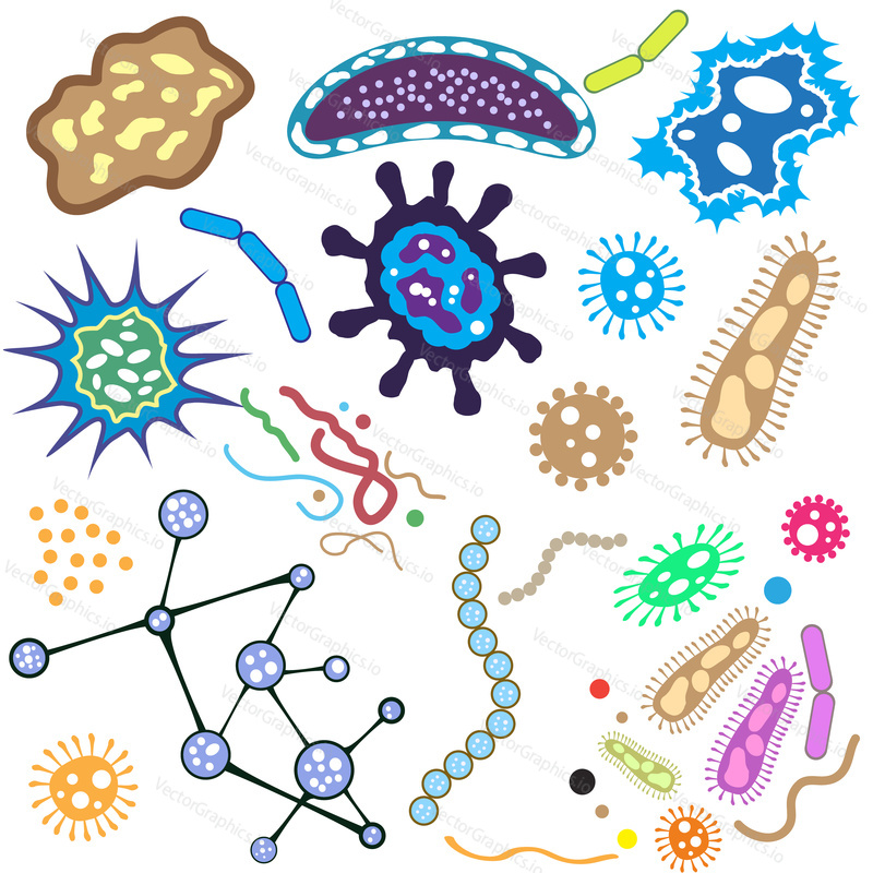 Bacteria, microorganism and virus cells isolated on white background. Vector Illustration.