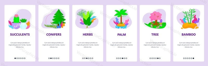 Plant types, species. Succulents, conifers, herbs, palm, tree, bamboo. Mobile app onboarding screens. Vector banner template for website and mobile development. Web site design illustration.