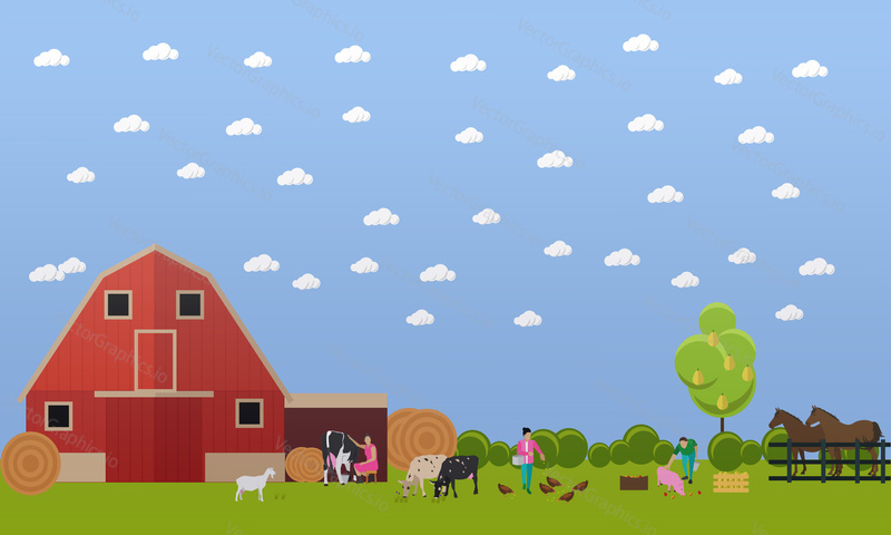 Big farm with lots of pig, cow, goat, chickens, two horses in the stable. Take care about animals. Animal breeding, farming. Vector banner in flat design