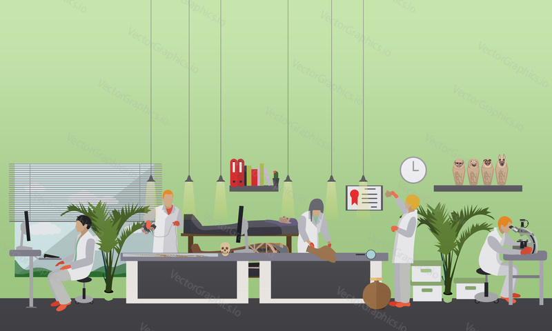 Vector illustration of archaeological laboratory, people at work and equipment. Archaeological research concept design element in flat style.