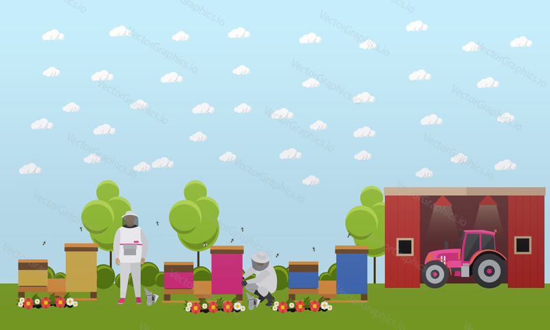 Banner of two beekeepers in special suits working in the apiary, smoke out the bees and get fresh honey. Next to it tractor in garage. Vector illustration in flat design