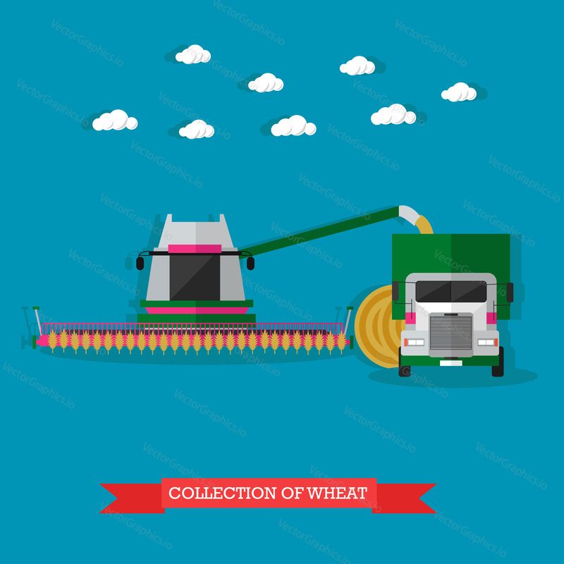 Combine harvester gathers the wheat in the field, and automatically loads it in the truck. Vector illustration in flat design