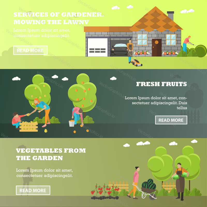 Vector banners of garden activities. Take care of the garden, mowing lawn, picking fruits, harvesting vegetables from garden patch. Gardening, agriculture and horticulture. Flat design