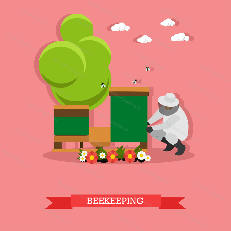 Man in the white protective suit,sitting next to the beehive and doing beekeeping in the village. Special equipment. Vector illustration in flat design