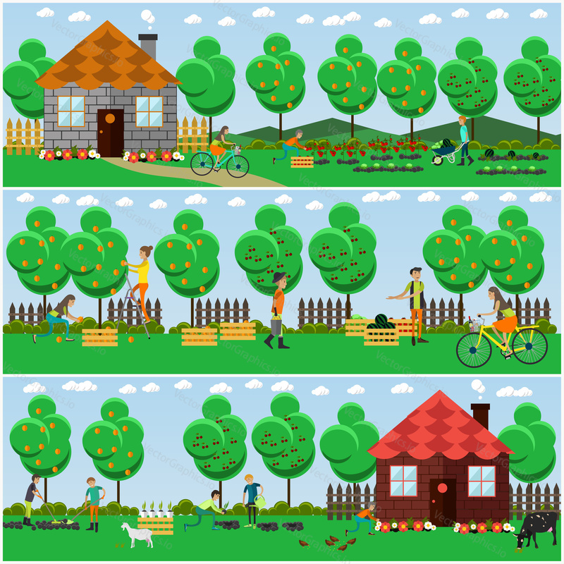 Vector set of gardening concept posters, banners in flat style. Gardeners planting, harvesting, selling fruit and vegetables.