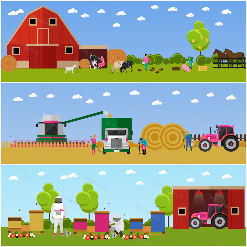 Vector banners of village life. Farming and cattle breeding, harvesting wheat and beekeeping. Agriculture, village activities. Flat design
