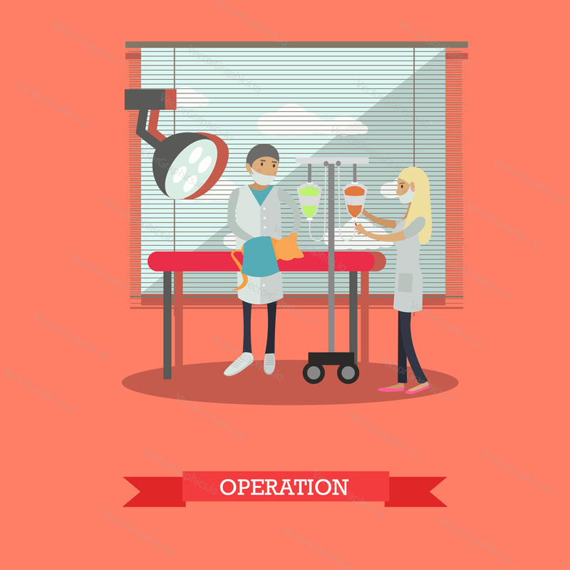 Vector illustration of veterinary surgeon performing a surgical operation on a cat. Vet clinic services concept design element in flat style.