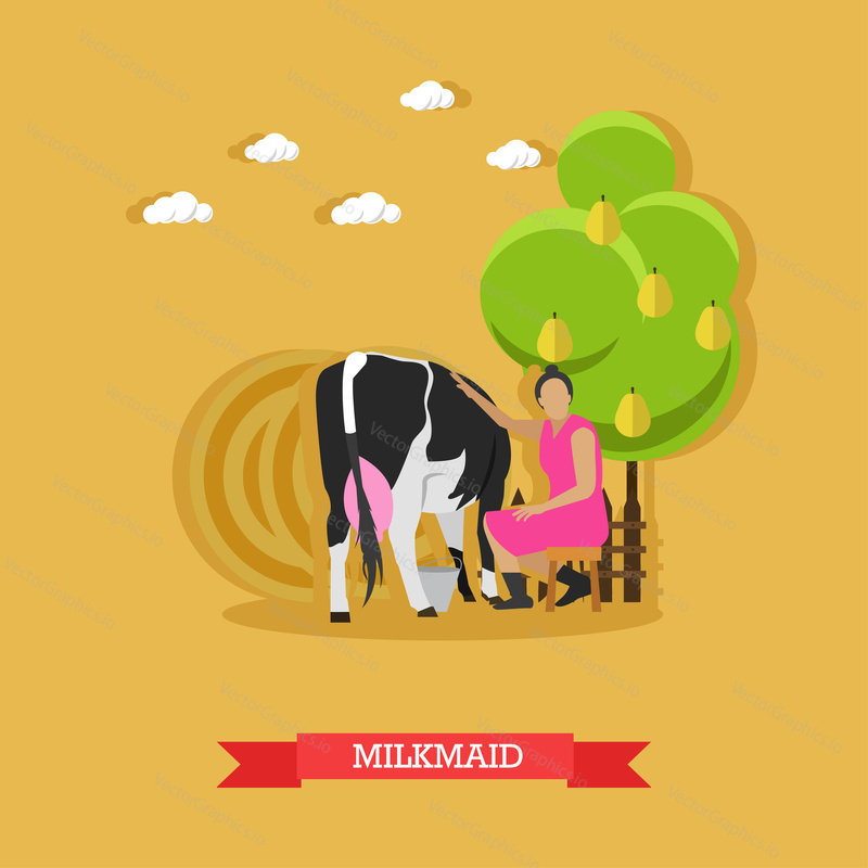 Milkmaid milking a cow, sitting on a stool under a fruit tree, metal bucket near. Cattle breeding, farming. Vector illustration in flat design