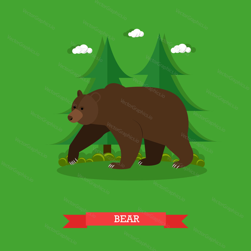 Zoo concept banner. Wildlife bear animal. Vector illustration in flat style design.