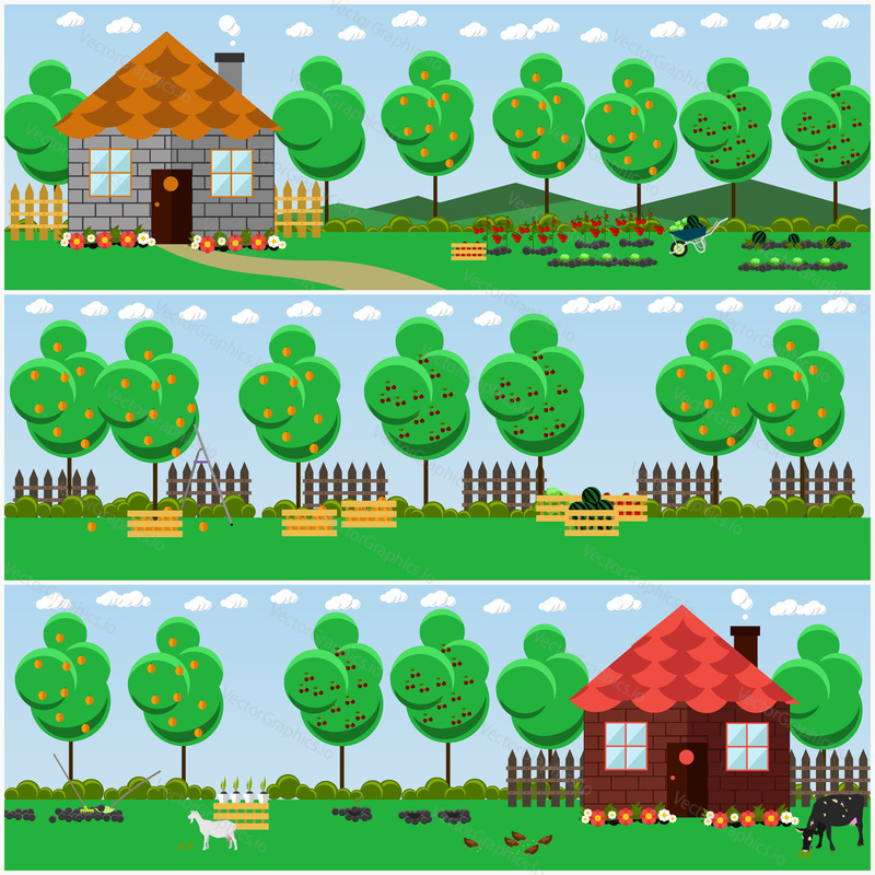 Vector set of countryside, rural scene backgrounds, posters, banners in flat style. Fruit and vegetable garden, country house, cottage, domestic animals.