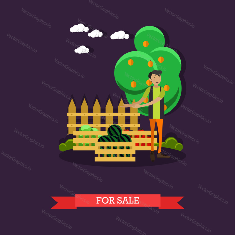 For sale concept vector illustration in flat style. Gardener man selling watermelon, cabbage and tomatoes.