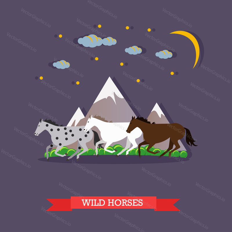Three multi-colored wild horses, white, grey and brown running through the mountains in the twilight under the moonlight. Vector illustration in flat design. Side view.