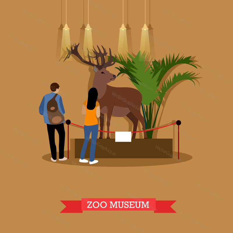 Vector illustration of stuffed deer in zoological museum. Visitors young man and woman watching exhibition of stuffed animals in zoo museum. Exposition room interior design element in flat style.