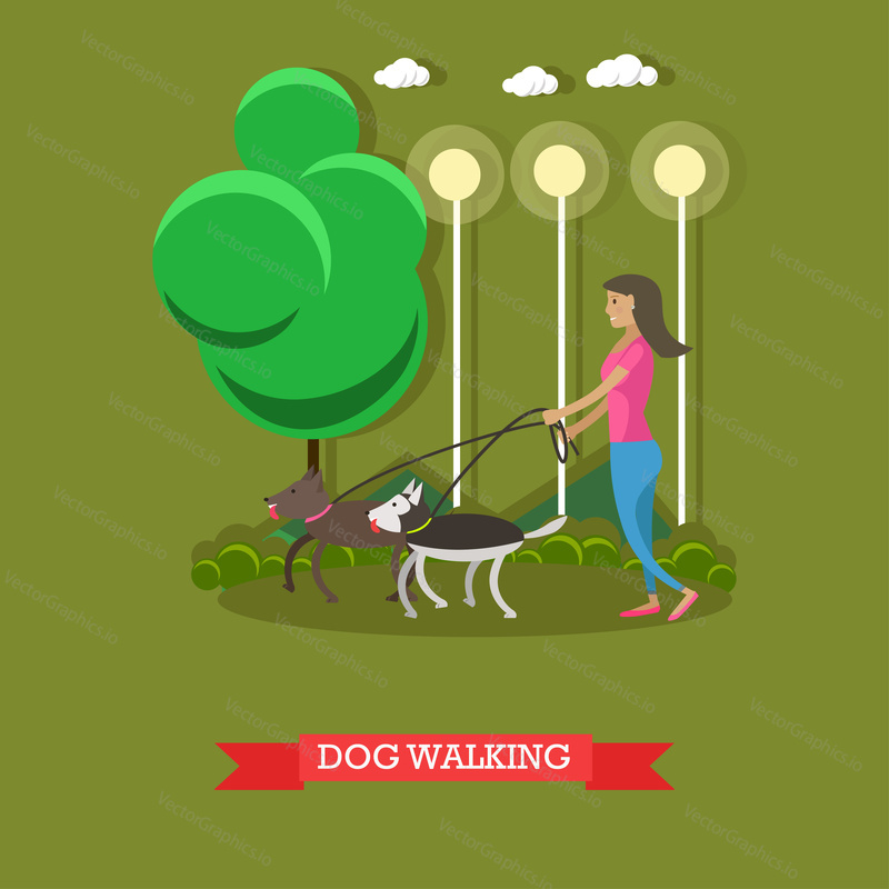 Woman walking with dogs in a park. Vector poster.