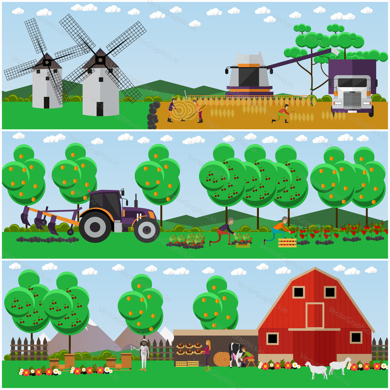 Vector set of farming concept posters, banners. People working on apiary and farm, harvesting wheat on field. Workers and agricultural machinery, flat style design elements.