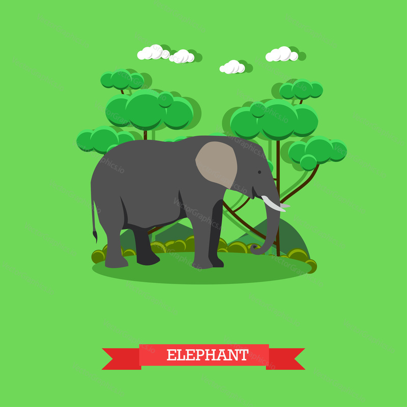 Zoo concept banner. Wildlife elephant animal. Vector illustration in flat style design.