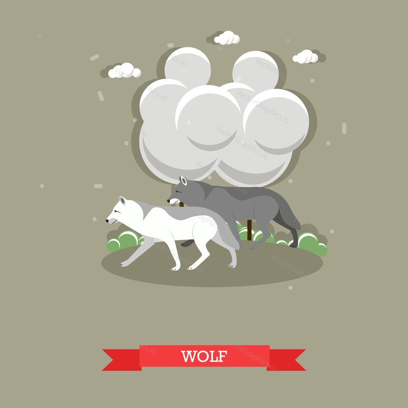 Two wolfs walking in a forest - stock vector.