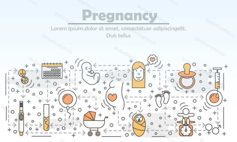 Pregnancy advertising vector illustration. Modern thin line art flat style design element with maternity and childbirth symbols, icons for website banners and printed materials.