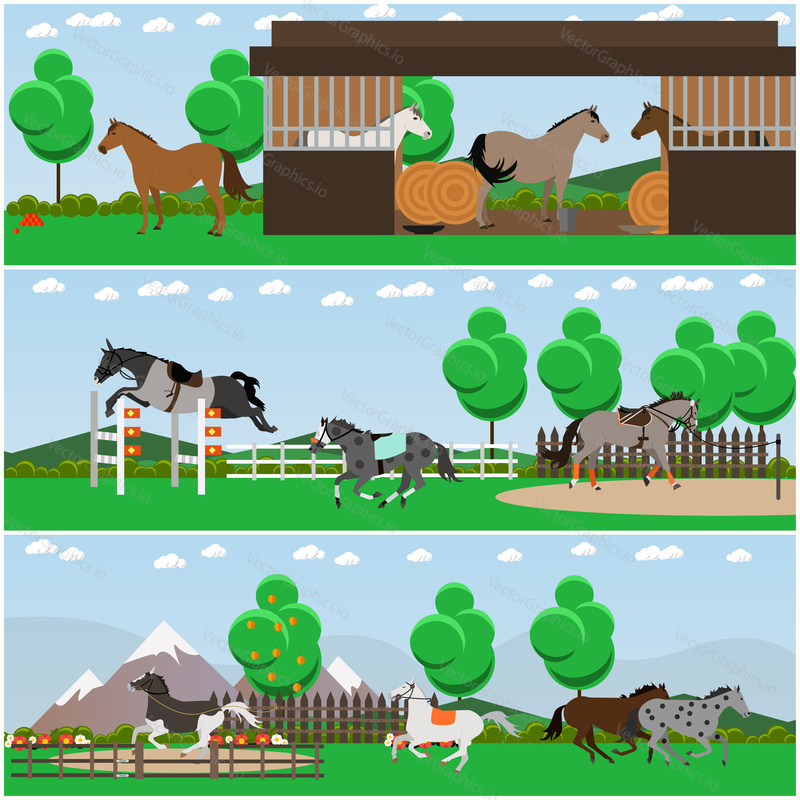 Vector set of horse riding interior posters, banners. Equestrian field with show jumper horses, stable, free horses, countryside landscape design elements in flat style.