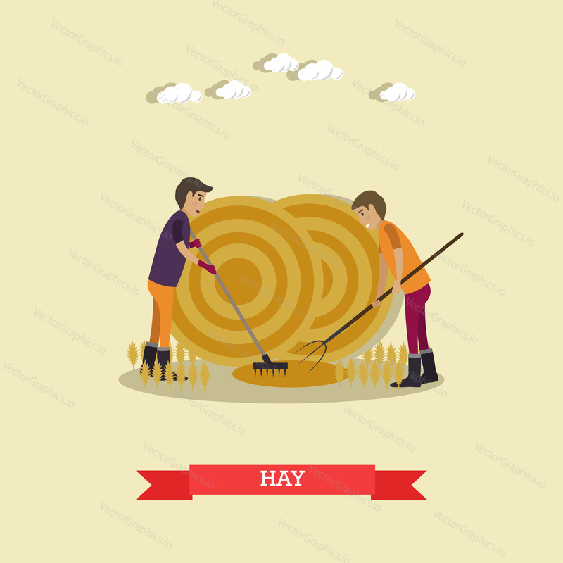 Vector illustration of two farm workers gathering hay with pitchfork and rake, round press hay bales. Farming concept design element in flat style.