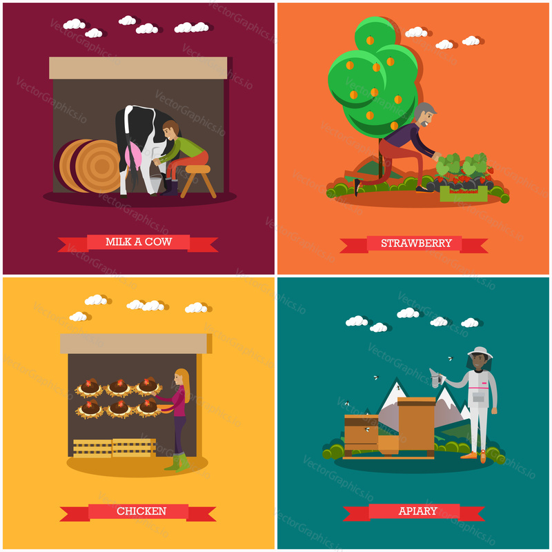 Vector set of farming posters, banners. Milk a cow, Strawberry, Chicken and Apiary design elements in flat style.