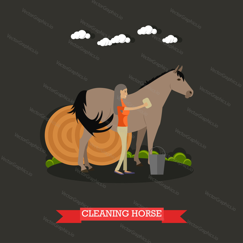 Vector illustration of horse breeder female cleaning horse and round hay bales behind them. Grooming horses flat style design element.