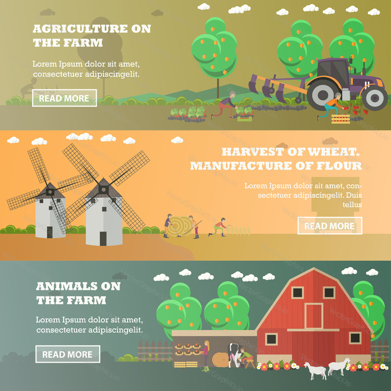 Vector set of farm horizontal banners. Agriculture on the farm, Harvest of wheat. Manufacture of flour and Animals on the farm flat style design elements.