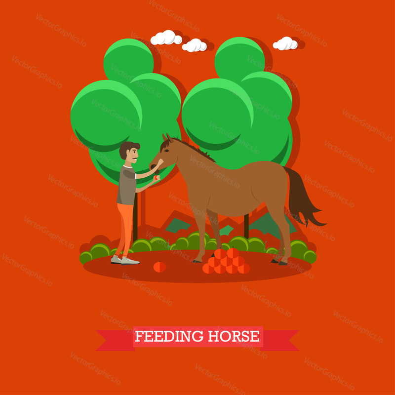 Vector illustration of horse breeder male feeding horse with fruit. Flat style design element.