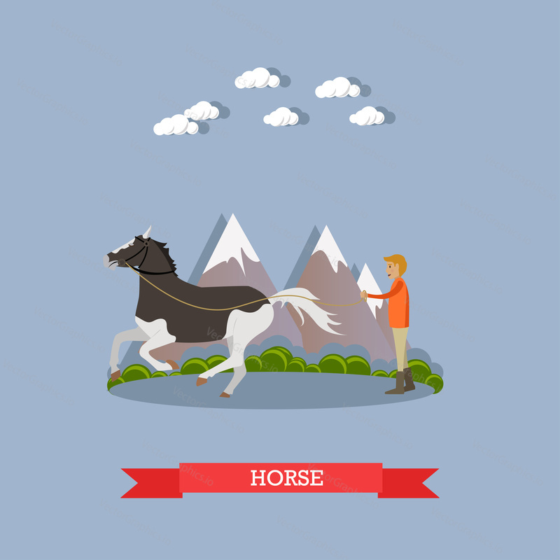 Векторная иллюстрация человека, тренирующего красивую пегую лошадь. Элемент дизайна в плоском стиле.