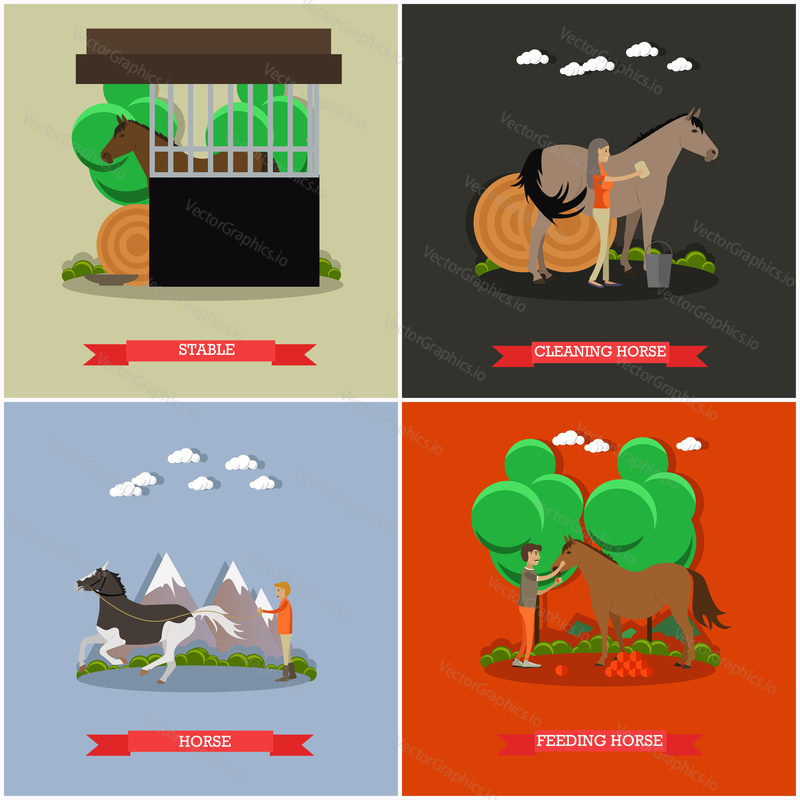 Vector set of horse riding posters. Stable, Cleaning horse, Training horse and Feeding horse flat style design elements.