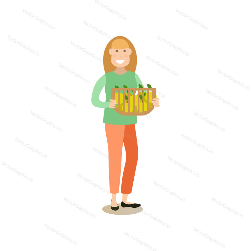Векторная иллюстрация женщины, держащей корзину, полную яблок. Концепция сезона охоты на яблоки элемент дизайна в плоском стиле, значок, выделенный на белом фоне.