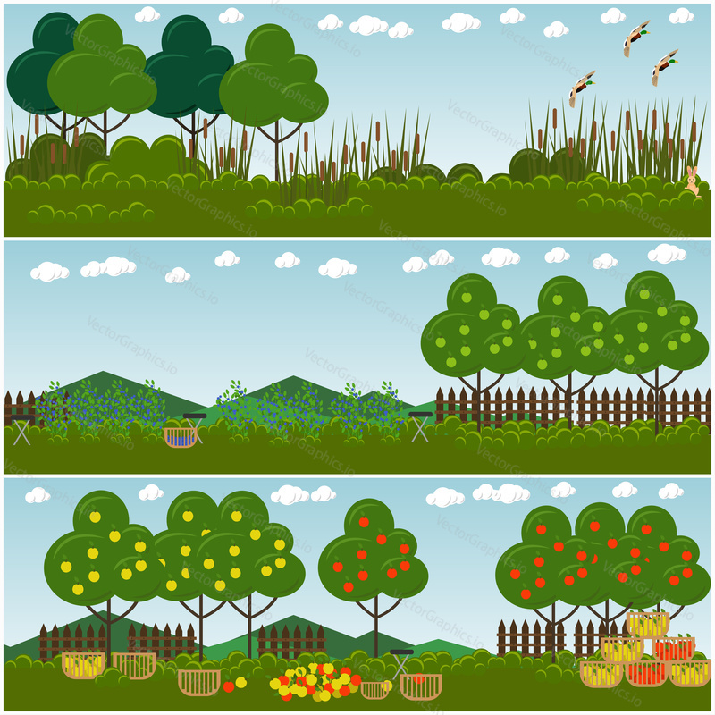 Vector set of hunter interior posters, banners. Fruit garden with apple trees and blueberries, wild ducks flying over pond, nature landscape. Flat style design.