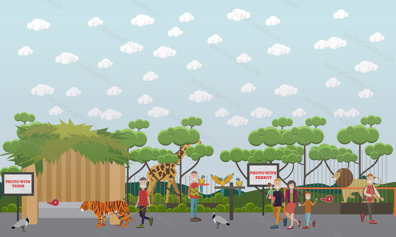 Zoo animals vector flat style illustration. Parents with their kids seeing wild exotic animals in cages giraffe and lion. Peafowls wandering among people. Taking photo with tiger and parrot.