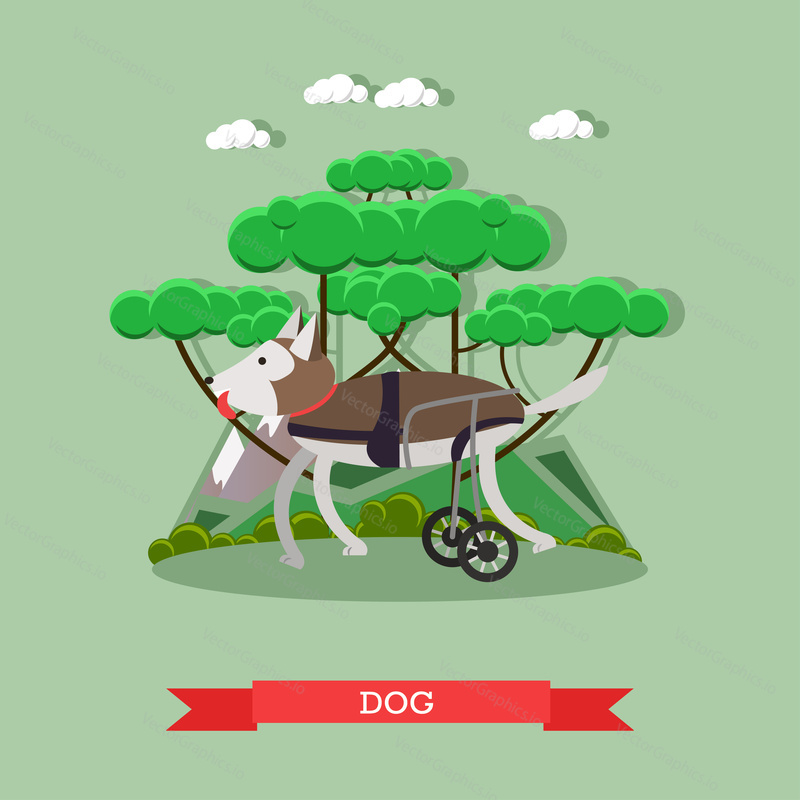 Vector illustration of disabled or handicapped dog in a wheelchair. Dog mobility aid flat style design element.