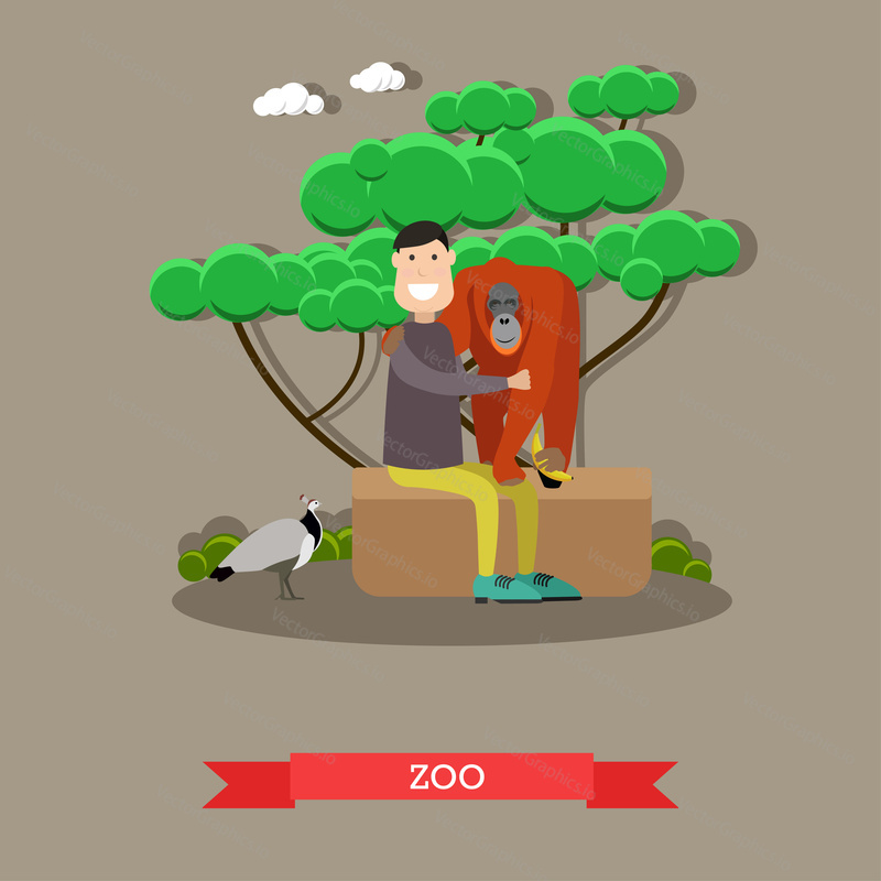 Vector illustration of tourist male embracing monkey. Peafowl wandering among people. Zoo animals flat style design.