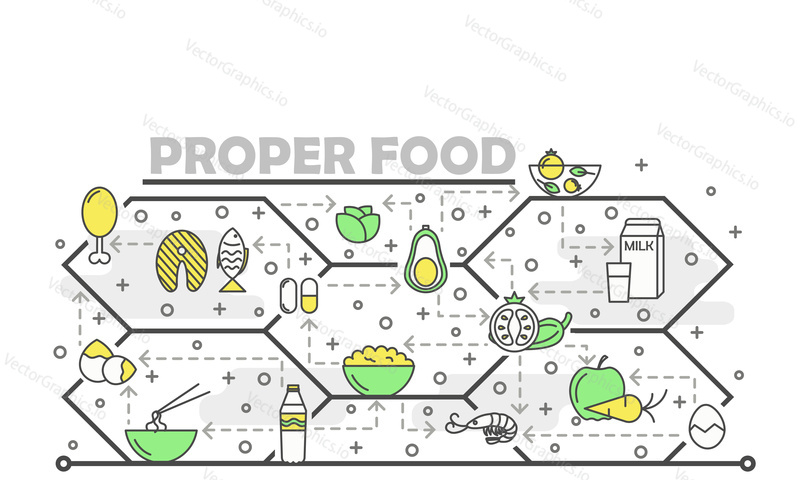 Proper food vector poster banner template. Organic healthy cooking. Fast-casual food service. Fresh natural products fish chicken meat seafood fruits vegetables thin line art flat icons for web banner