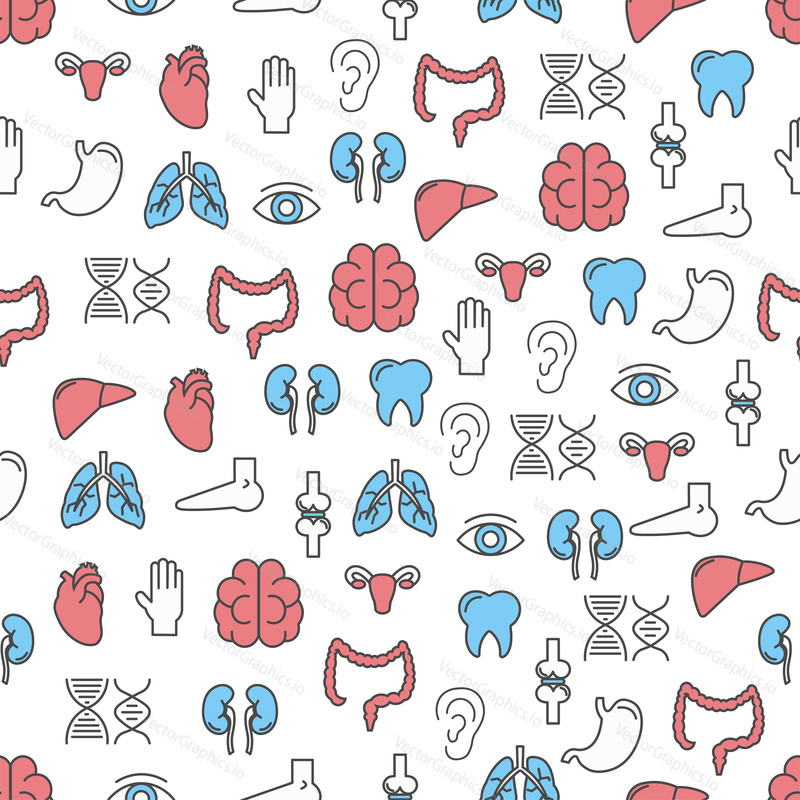 Vector seamless pattern with liver kidneys joints tooth brain heart colon stomach uterus eye ear leg. Thin line art flat style design human organs and body parts background, wallpaper.