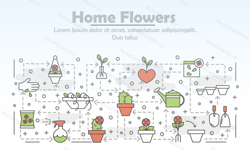 Home flowers advertising poster banner template. House plants in pots, sprouting seeds, gardening tools vector thin line art flat style design elements, icons for web banners and printed materials.
