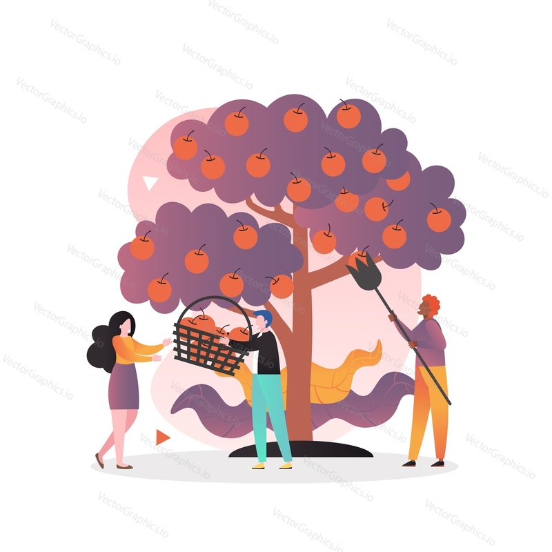 Male and female characters harvesting apples in garden using fruit picker, vector illustration. Apple picking concept for web banner, website page etc.
